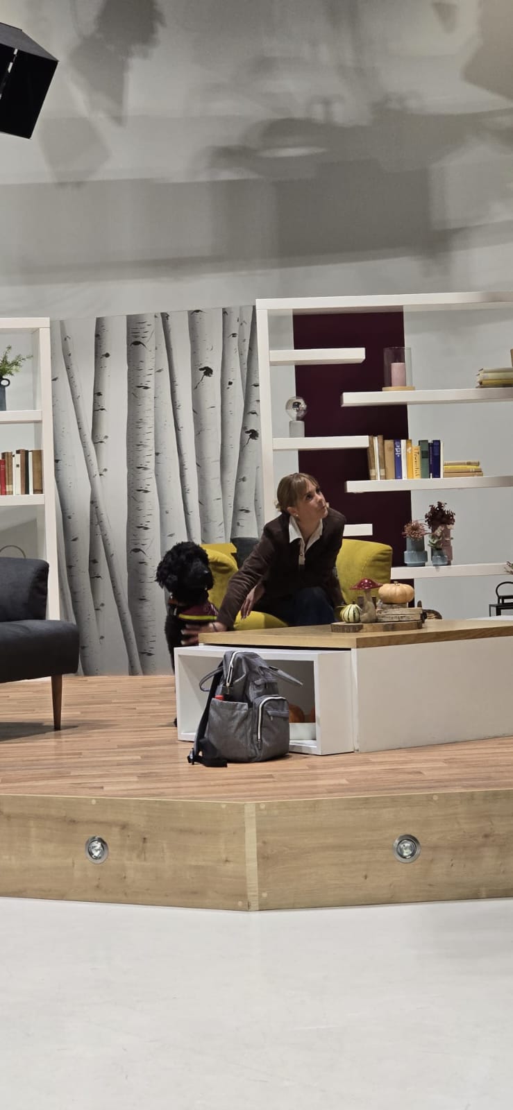 Hündin Ayla mit Trainerin im Studio-Set von Hallo Hessen