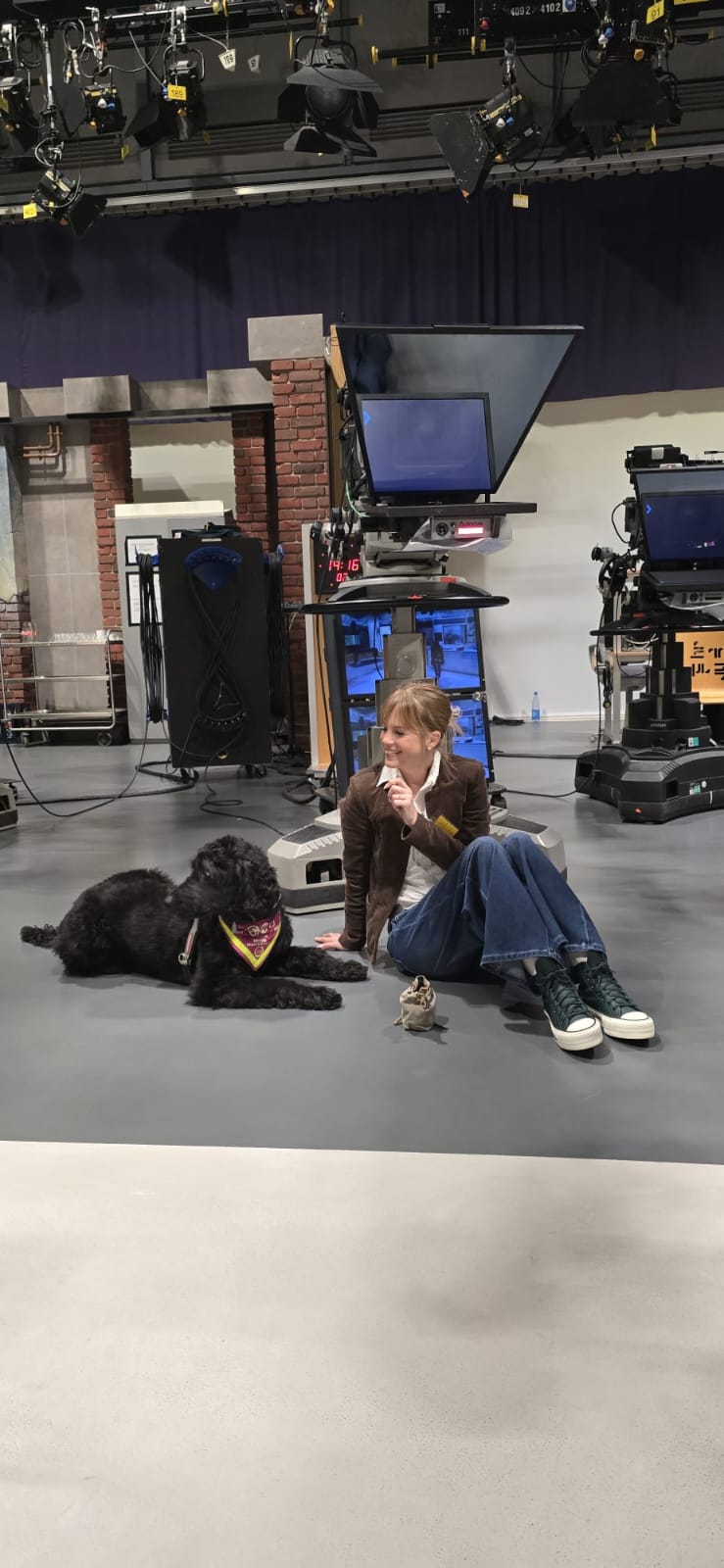 Hündin Ayla beim Spielen vor dem Beitrag im Fernsehstudio von Hallo Hessen