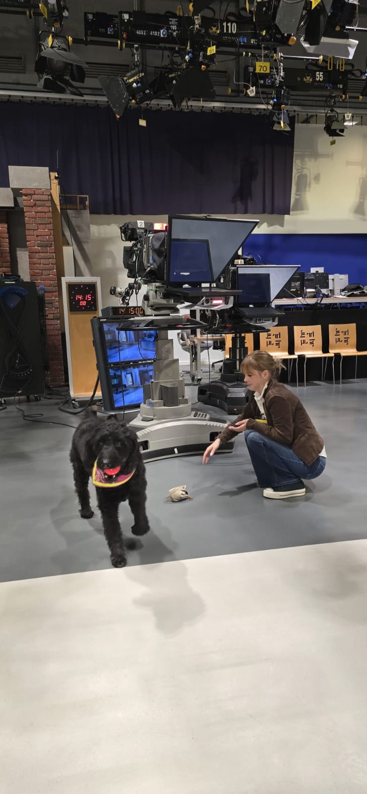 Hündin Ayla beim Apportieren im Fernsehstudio von Hallo Hessen