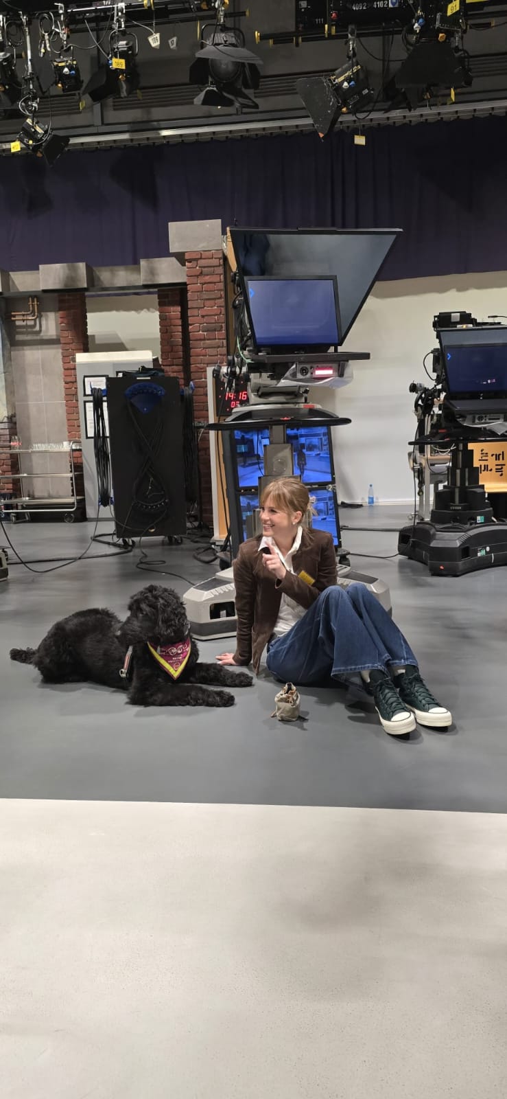 Hündin Ayla beim Spielen vor dem Beitrag im Fernsehstudio von Hallo Hessen