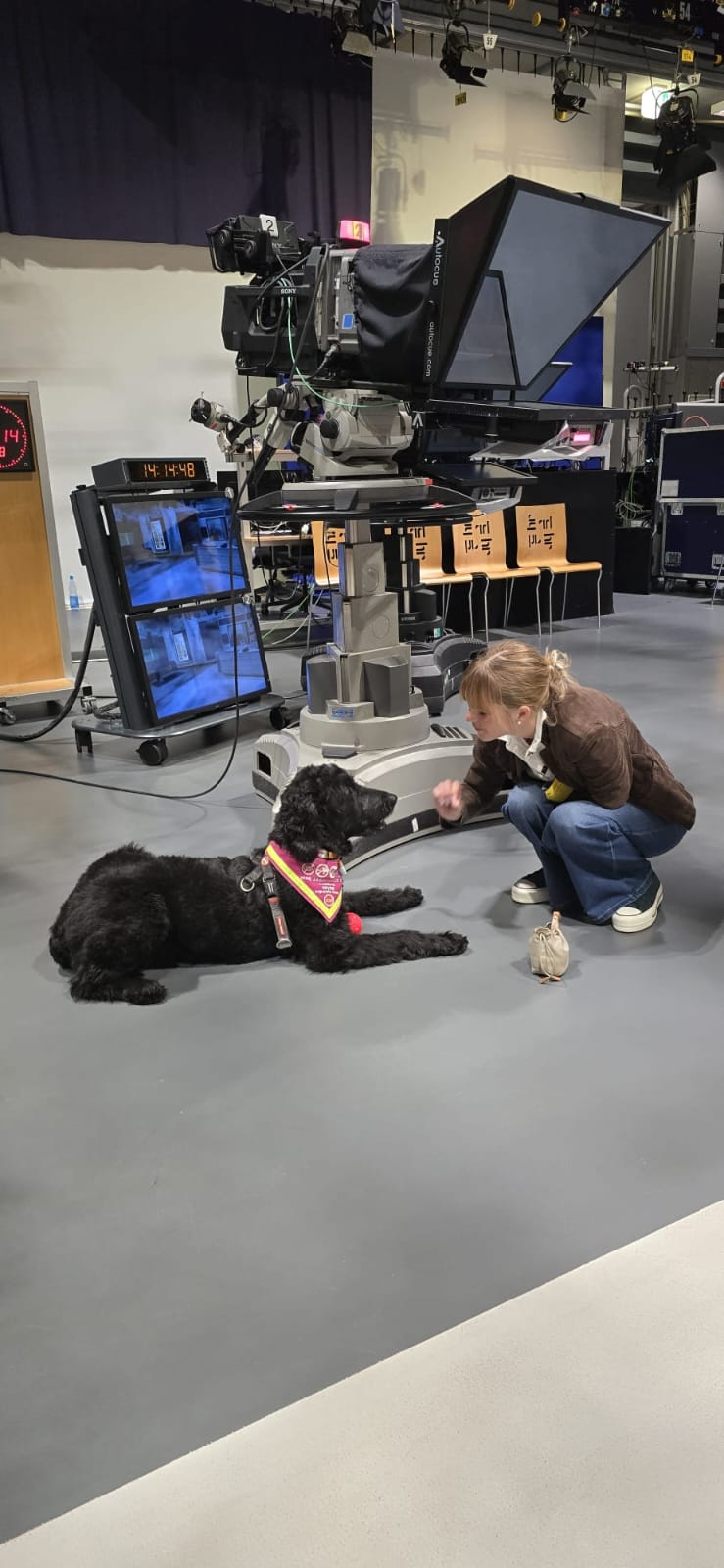 Hündin Ayla beim Spielen vor dem Beitrag im Fernsehstudio von Hallo Hessen