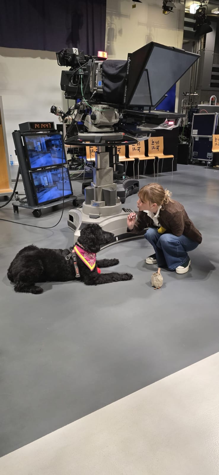 Hündin Ayla beim Spielen vor dem Beitrag im Fernsehstudio von Hallo Hessen