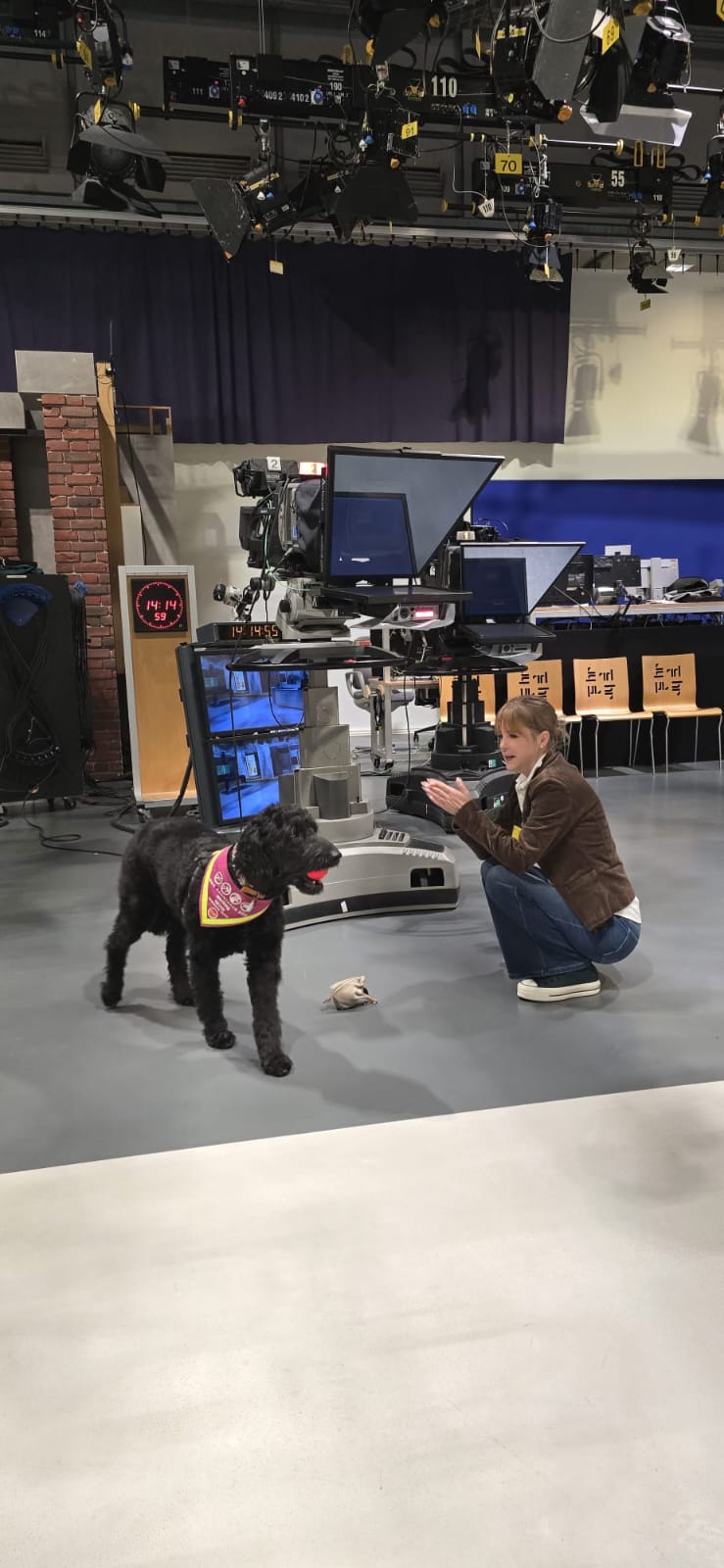Hündin Ayla beim Apportieren im Fernsehstudio von Hallo Hessen