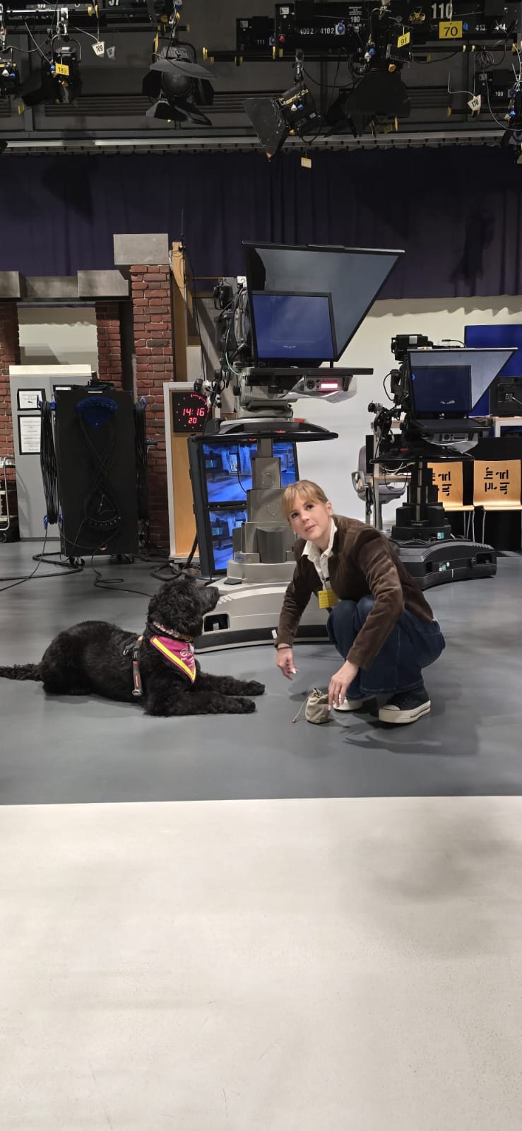 Hündin Ayla beim Spielen vor dem Beitrag im Fernsehstudio von Hallo Hessen