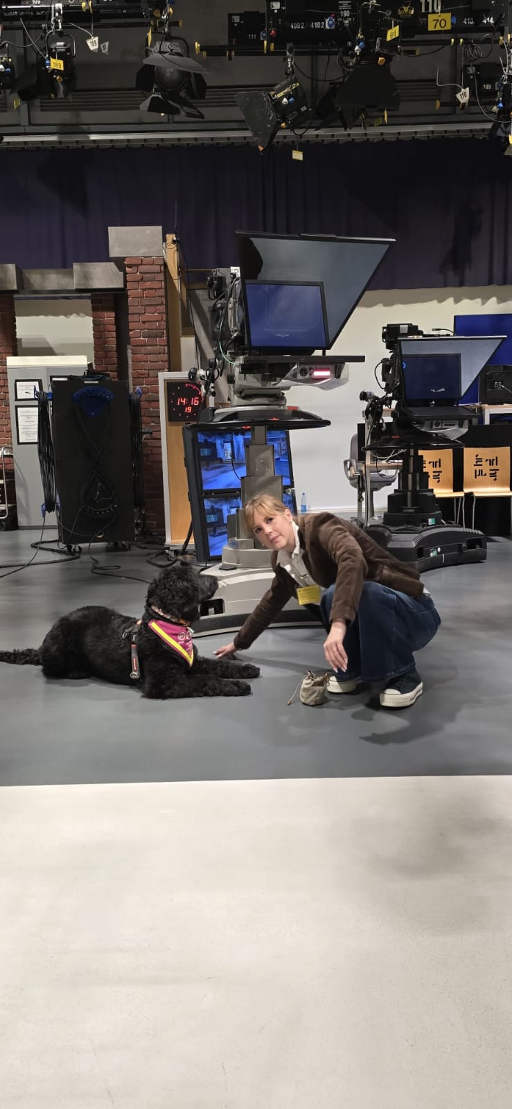 Hündin Ayla beim Spielen vor dem Beitrag im Fernsehstudio von Hallo Hessen