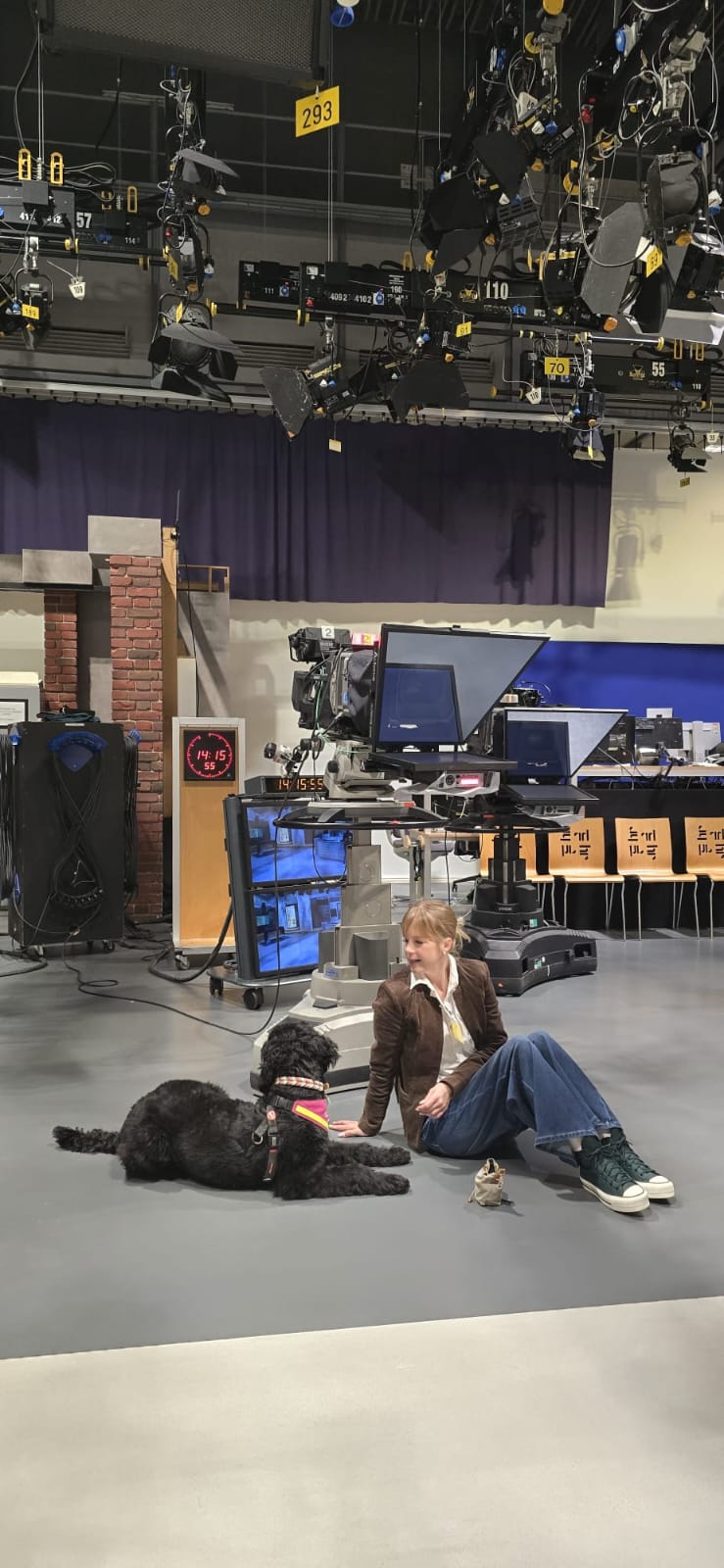 Hündin Ayla beim Spielen vor dem Beitrag im Fernsehstudio von Hallo Hessen