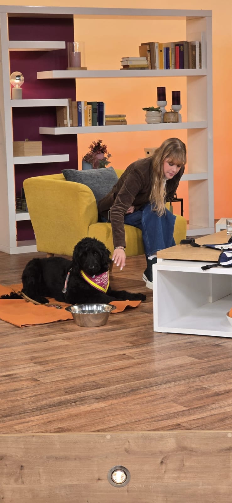 Hündin Ayla mit Trainerin im Studio-Set von Hallo Hessen