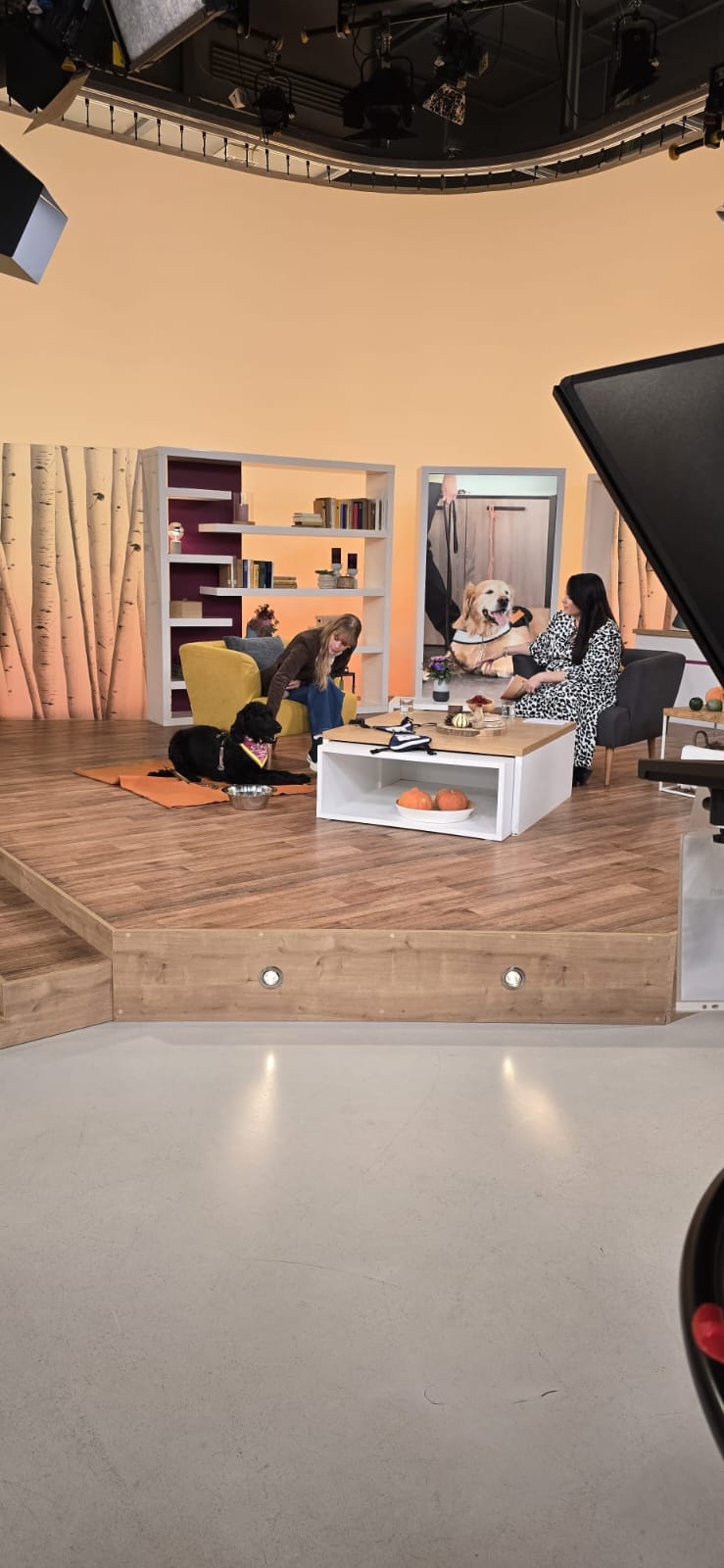 Live-Beitrag von Pfotenglück bei Hallo Hessen im Fernsehstudio