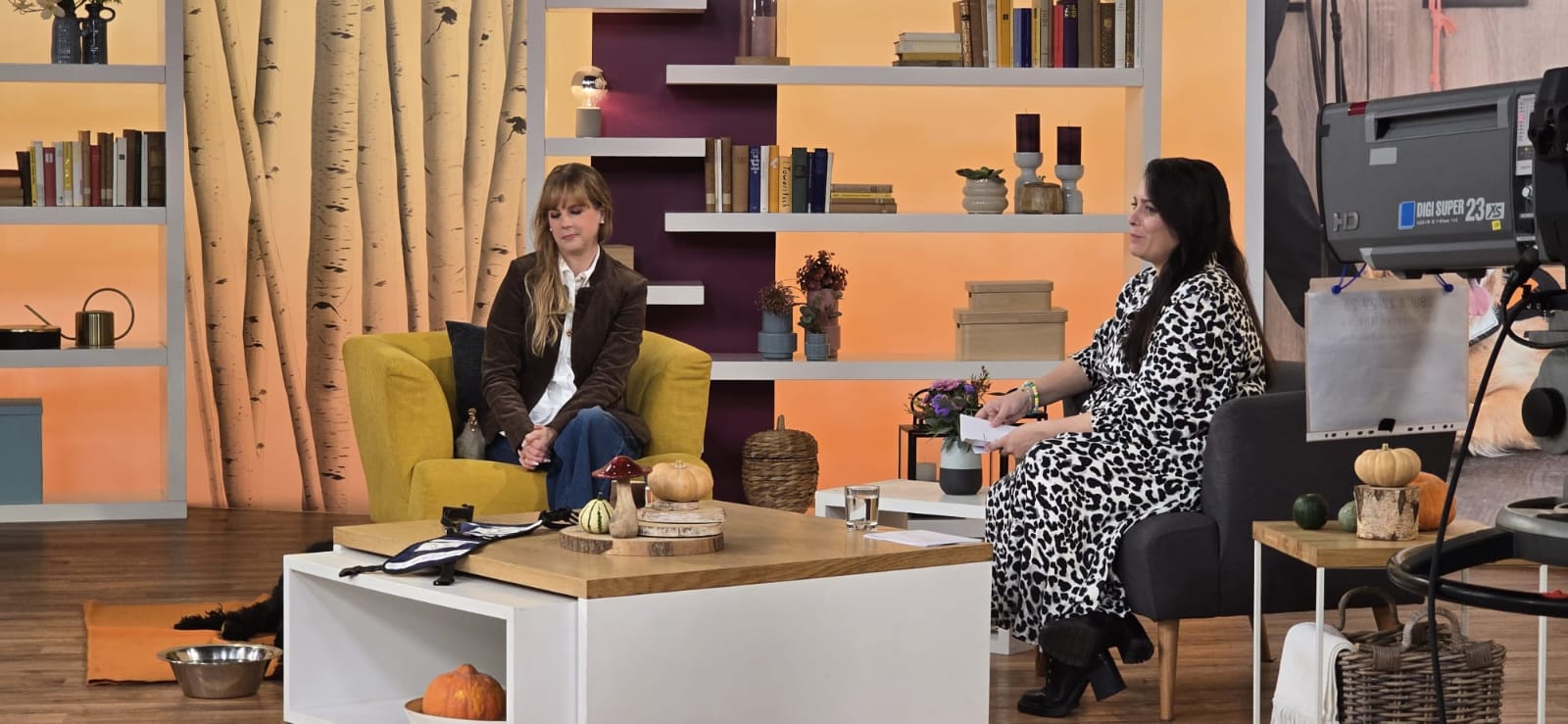 Pfotenglück im Live-Gespräch bei Hallo Hessen im hr-Fernsehen