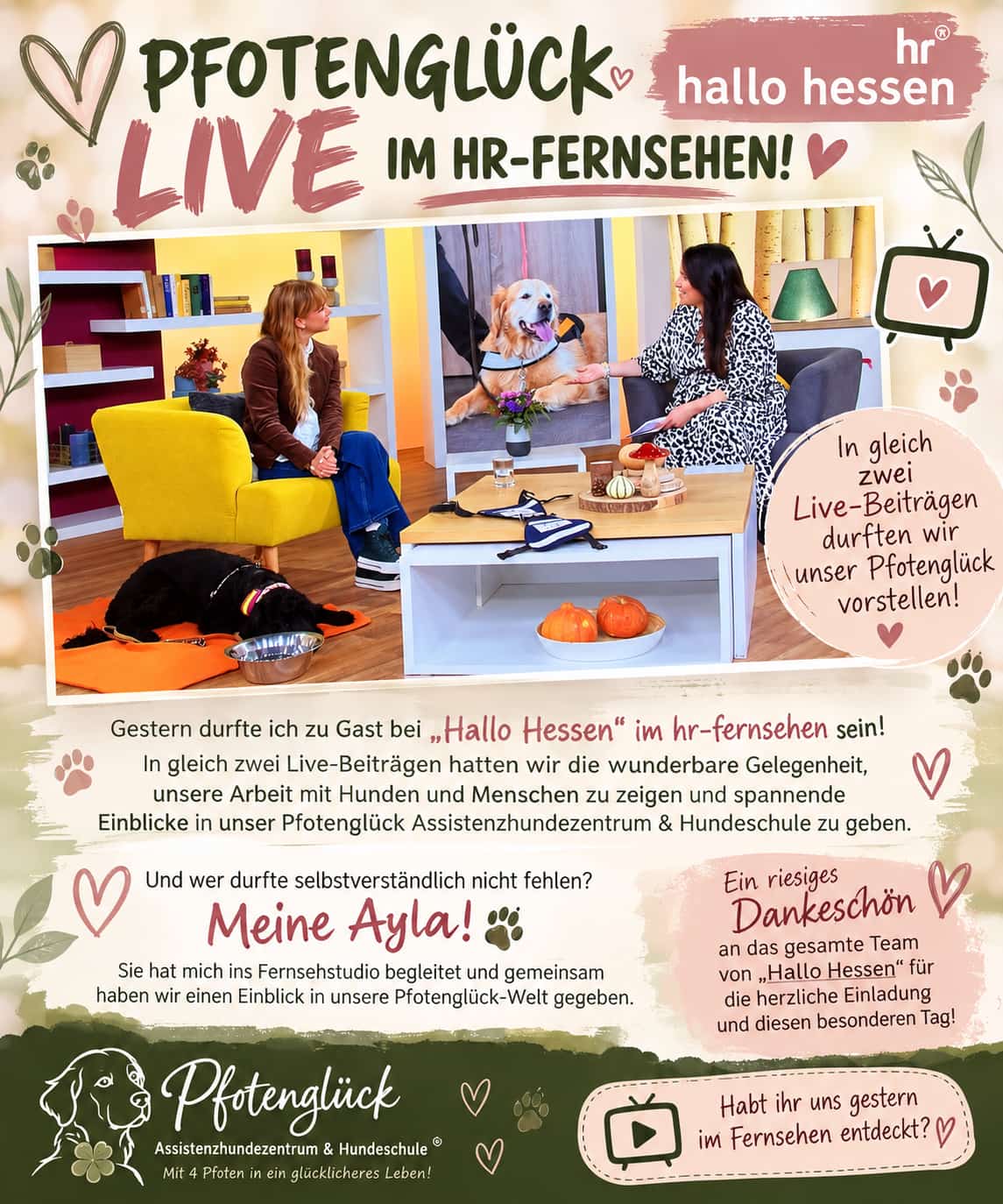 Pfotenglück live im hr-Fernsehen bei Hallo Hessen