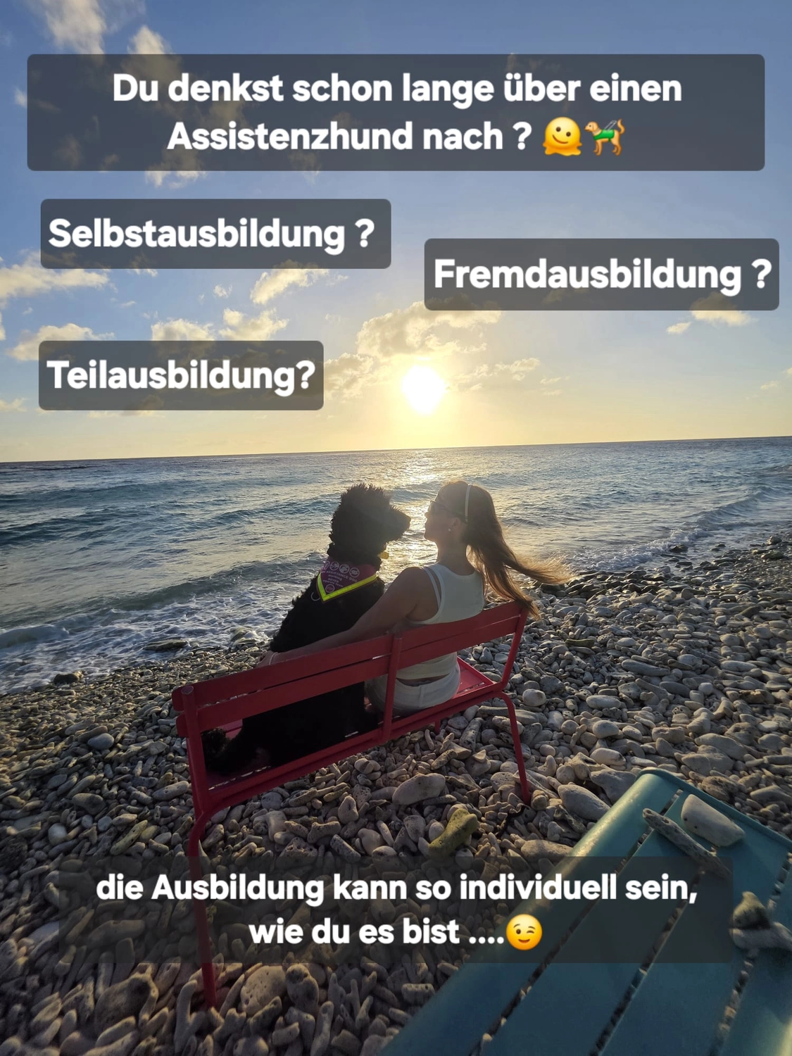 Pfotenglück-Assistenzhundezentrum--Hundeschule