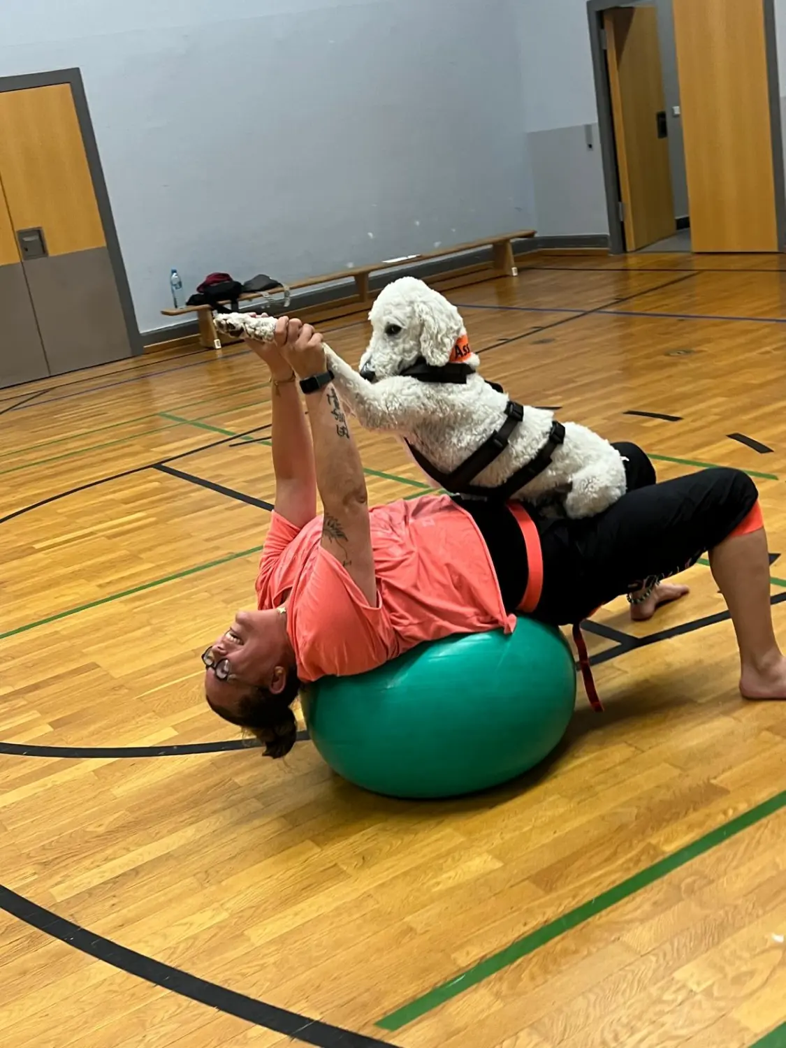 Hund von Pfotenglück Assistenzhundezentrum & Hundeschule