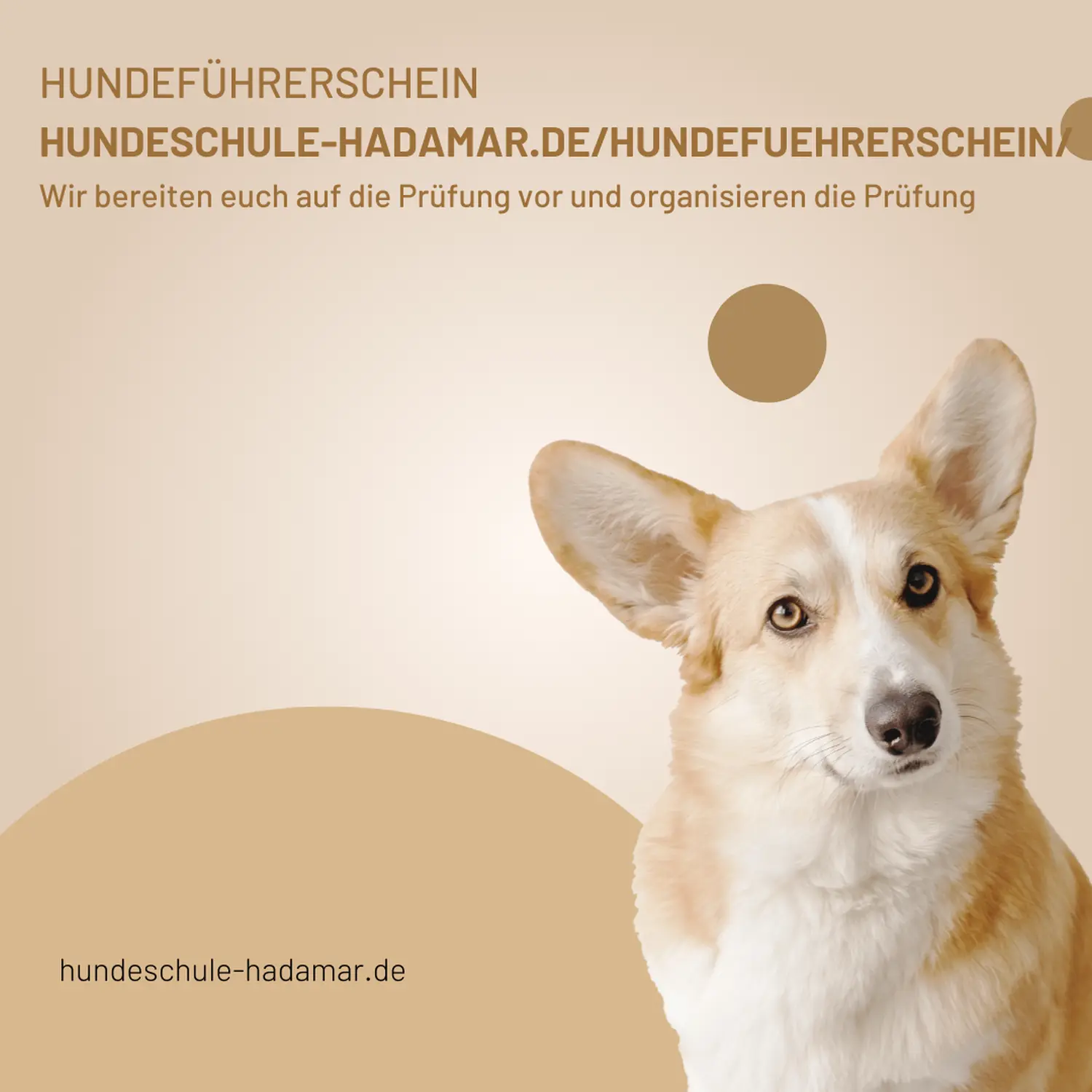 Flyer von Pfotenglück Assistenzhundezentrum & Hundeschule