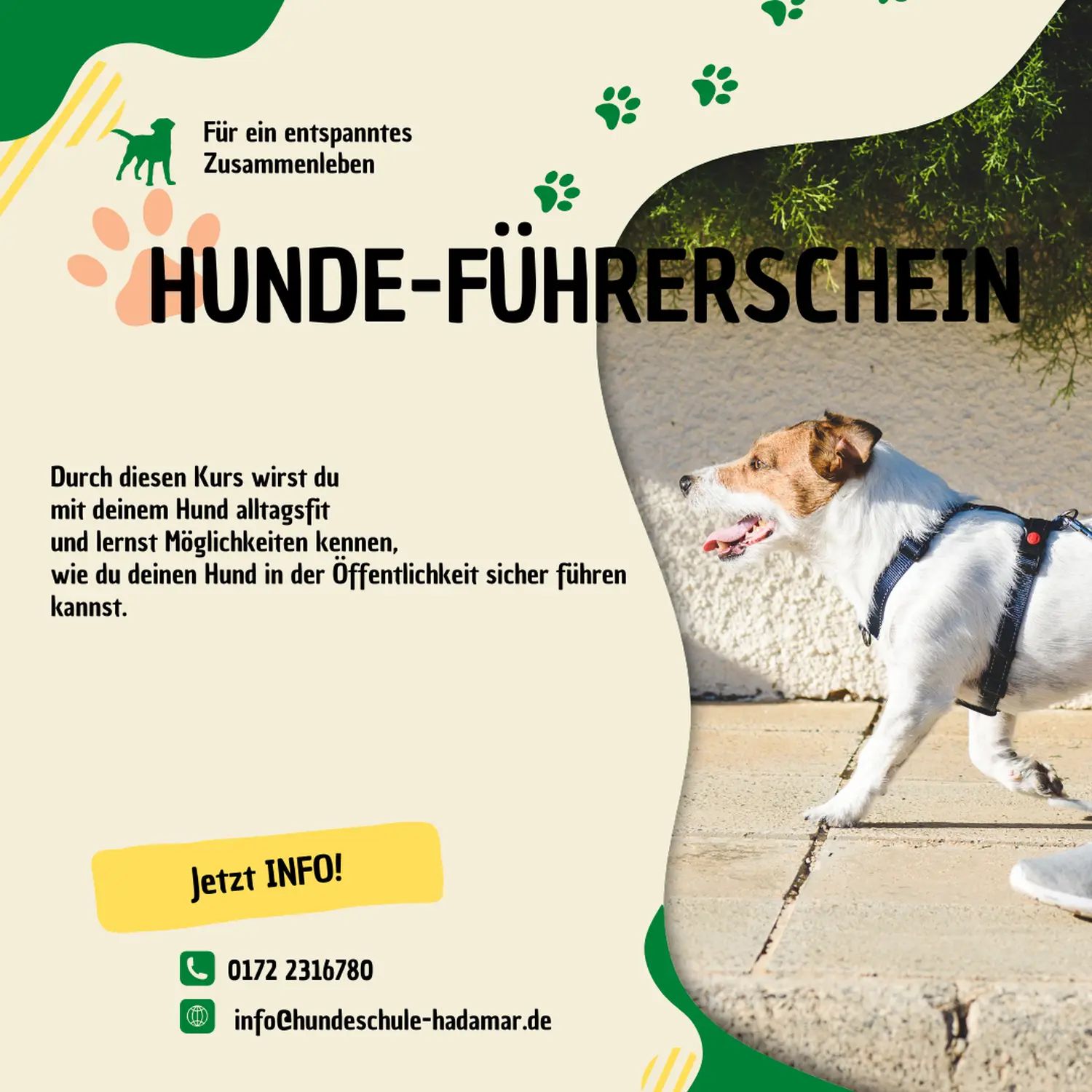 Flyer von Pfotenglück Assistenzhundezentrum & Hundeschule
