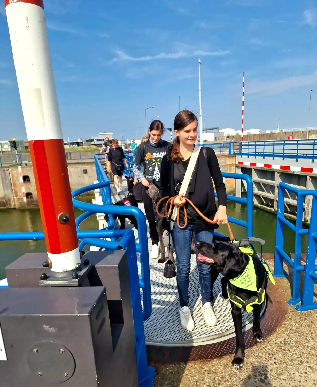 Menschen und Hunde am Strand von Pfotenglück Assistenzhundezentrum & Hundeschule
