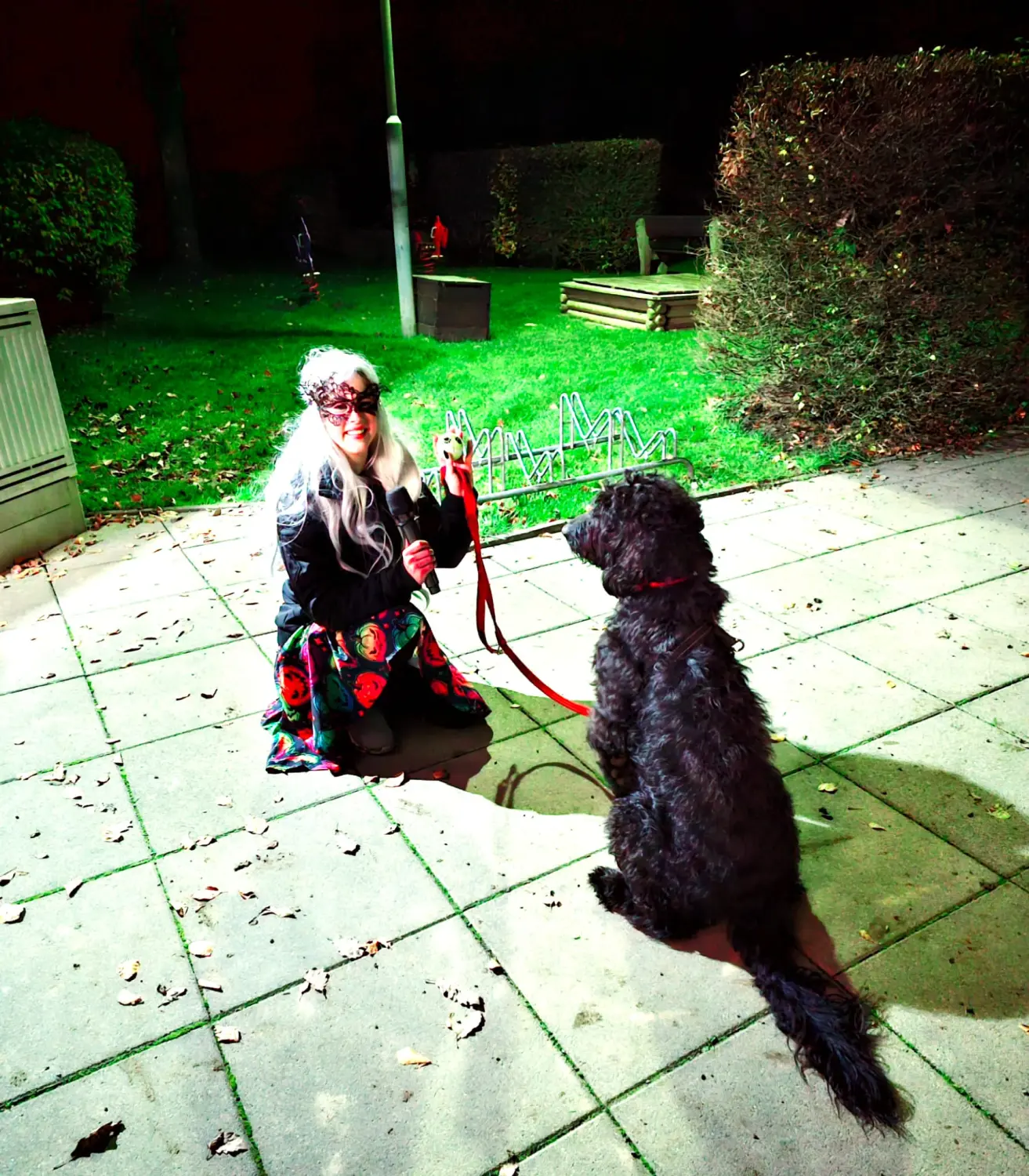 Mädchen mit Hund von Pfotenglück Assistenzhundezentrum & Hundeschule
