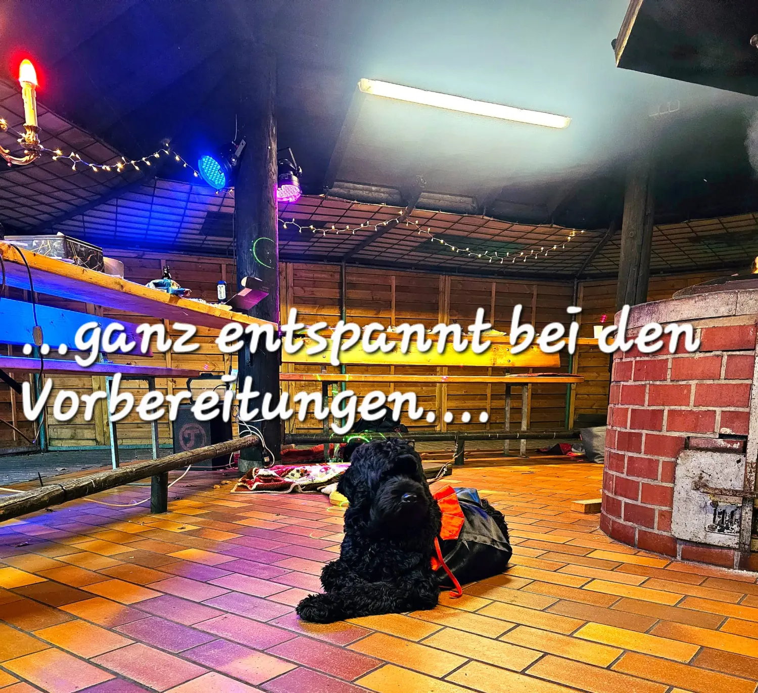 Mädchen mit Hund von Pfotenglück Assistenzhundezentrum & Hundeschule