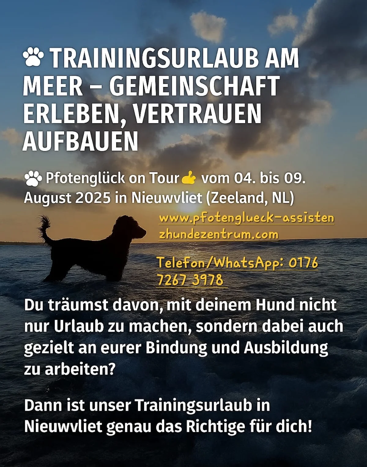 Flyer von Pfotenglück Assistenzhundezentrum & Hundeschule