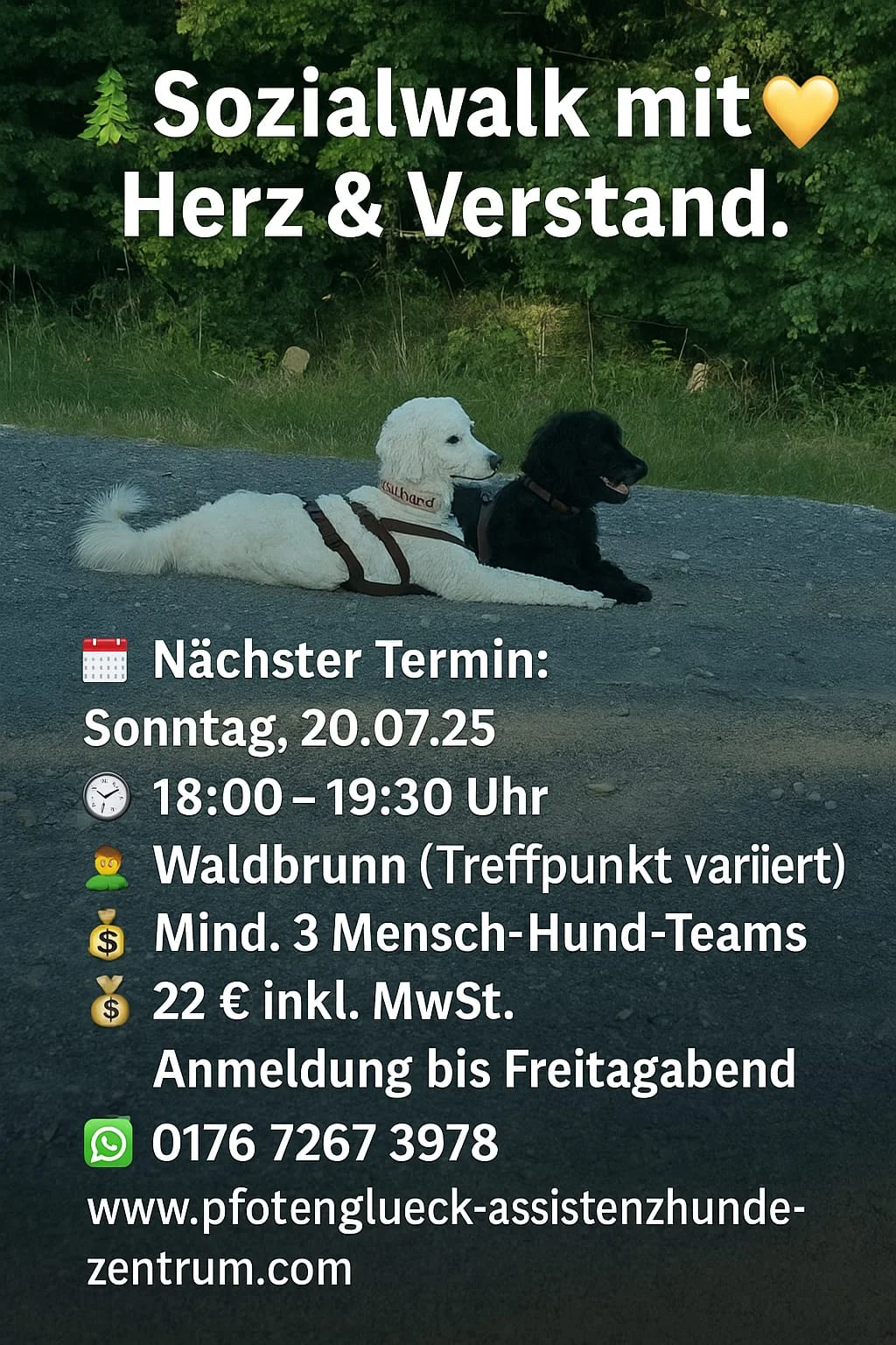 Flyer von Pfotenglück Assistenzhundezentrum & Hundeschule