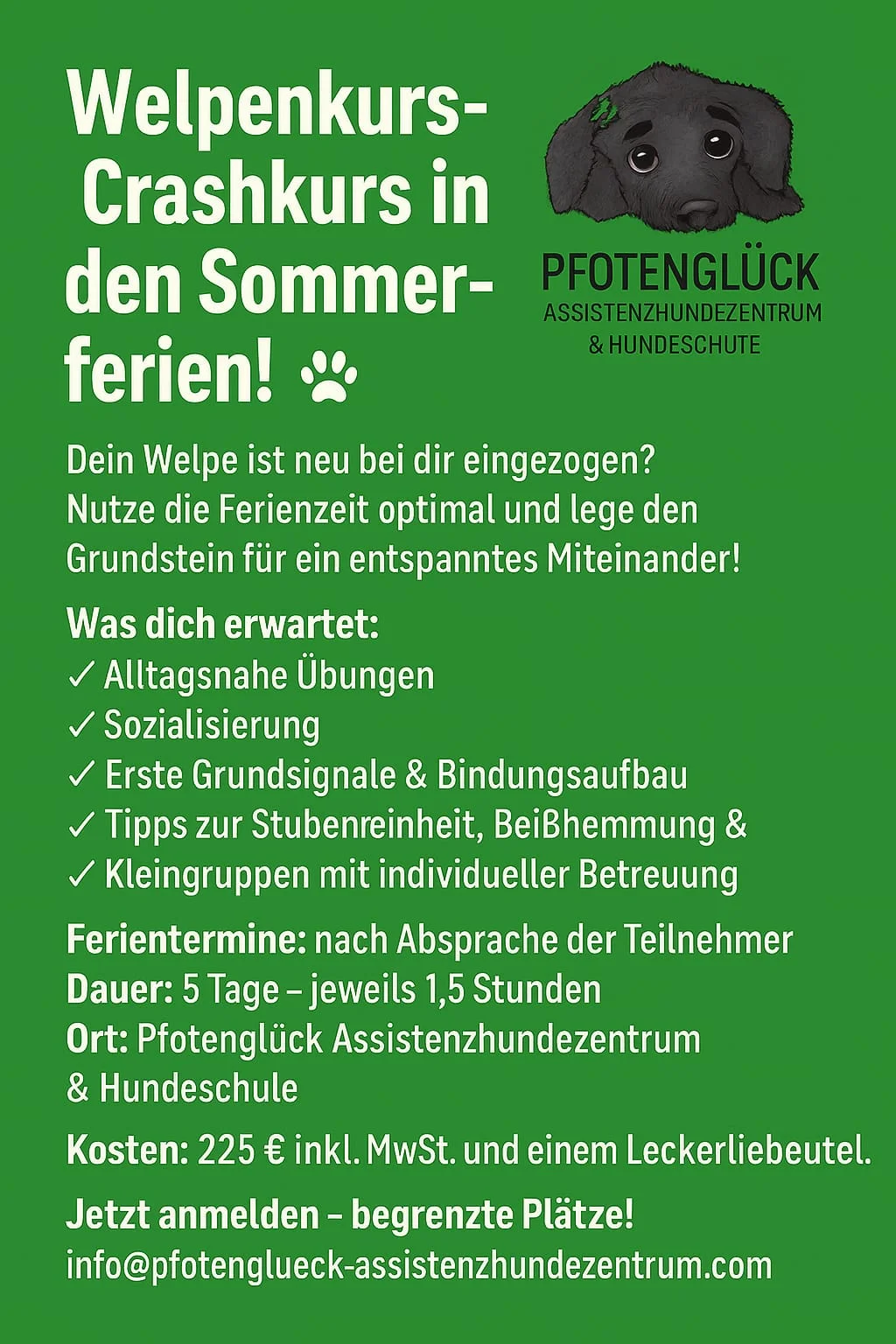 Flyer von Pfotenglück Assistenzhundezentrum & Hundeschule