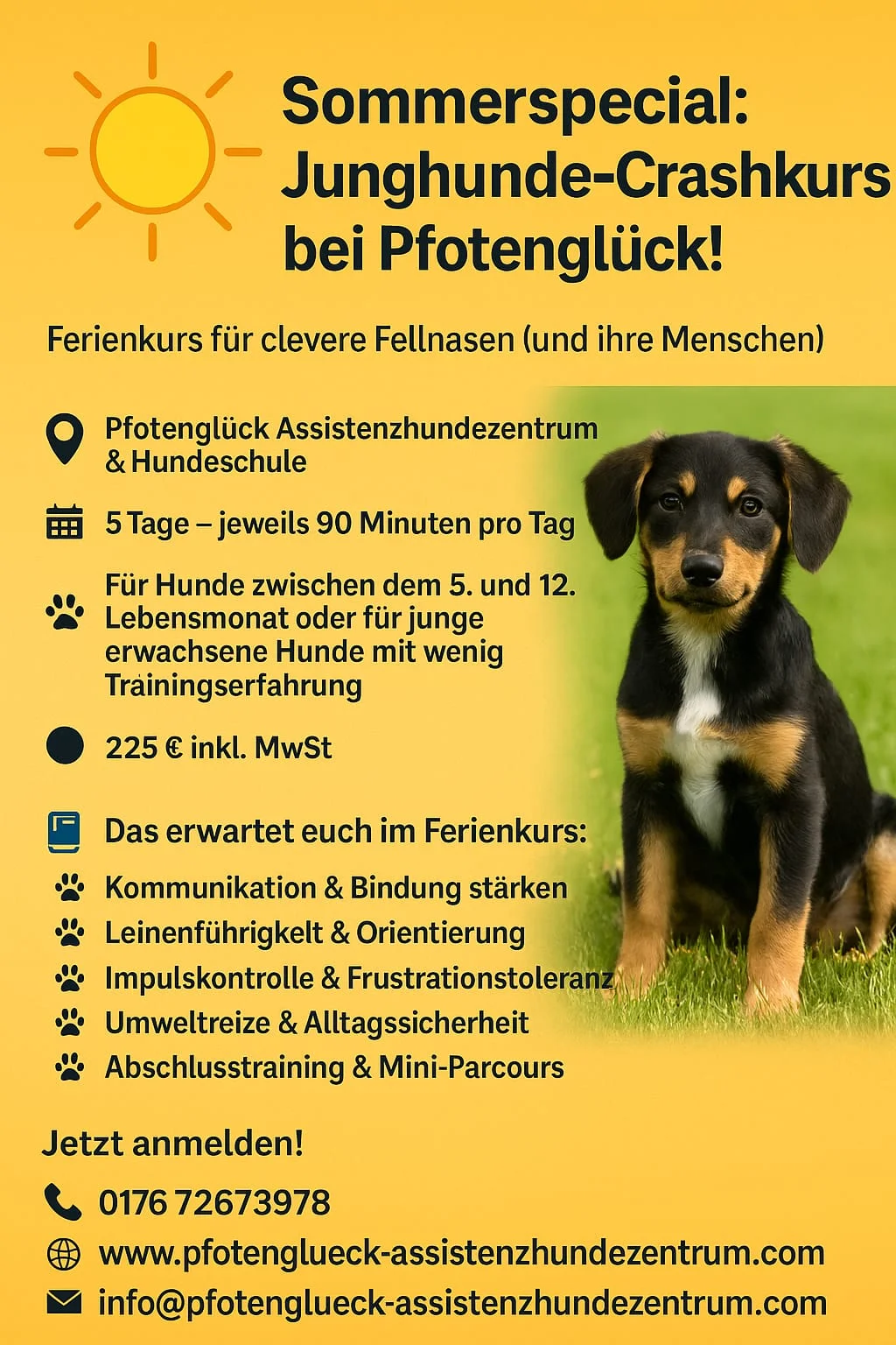 Flyer von Pfotenglück Assistenzhundezentrum & Hundeschule