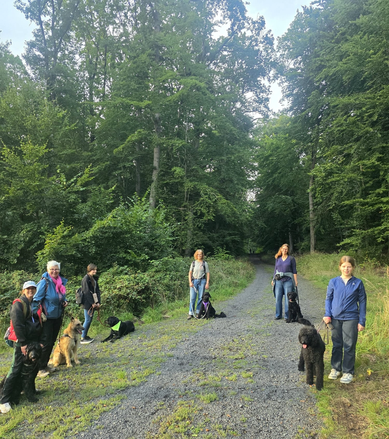 Menschen und Hunde am Strand von Pfotenglück Assistenzhundezentrum & Hundeschule