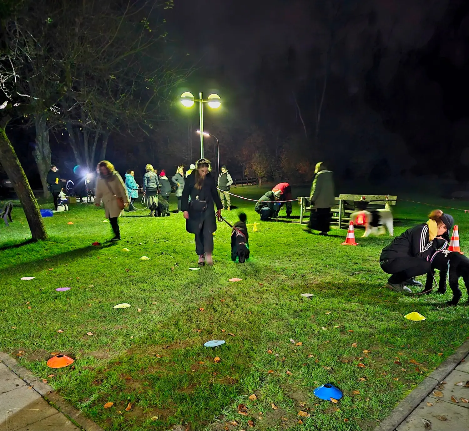 Menschen und Hunde am Strand von Pfotenglück Assistenzhundezentrum & Hundeschule